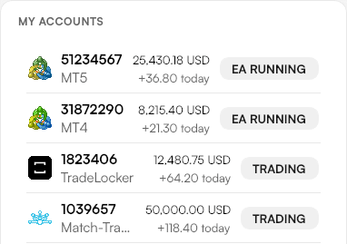 My accounts: one account each on MetaTrader 5, MetaTrader 4, TradeLocker and Match-Trader